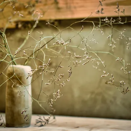 Gæstehus Kanela Alykes (Zakynthos)