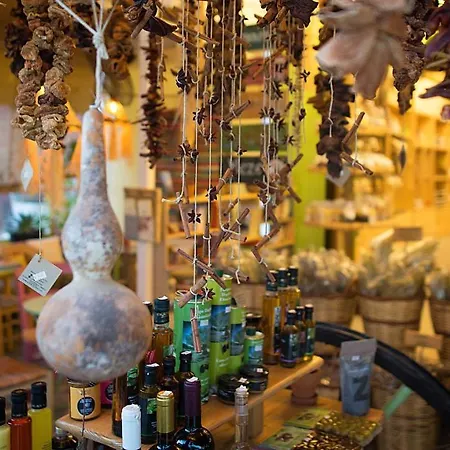 Guest house Kanela Alykes (Zakynthos)