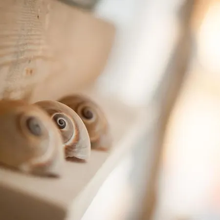 Kanela 4* Αλυκών